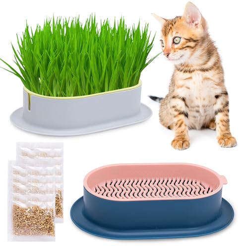 TULEBOLIAN HidroponíA Bandeja para Hierba De Gato,Plantador De Hierba De Gato,con Revestimiento De PláStico,Kit HidropóNico Caja De Hierba para Gatos,para Perros Gatos Y Mascotas