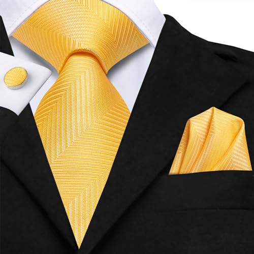 Image of Dubulle Mens Tie Set Solid Paisley Silk Striped Necktie for Men with Cufflinks Tie and Pocket Square