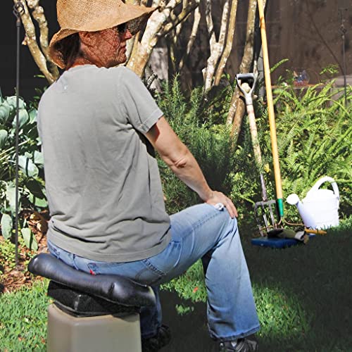 Image of Authentic Pettibon System Portable Wobble Chair for Back Pain Relief, Balance and Stability