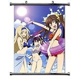 Infinite Stratos Anime Fabric Wall Scroll Poster (32' X 47') Inches