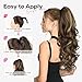REECHO Ponytail Extension, 24