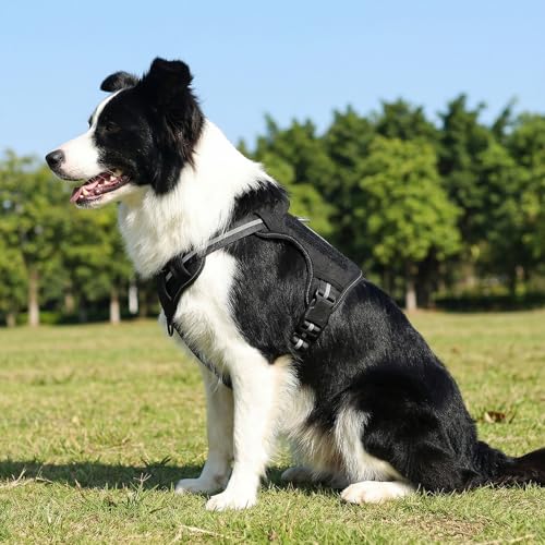 Image of Amazon Basics No-Pull Dog Harness, Adjustable Front Clip, Tactical Vest, Escape Proof, Large, Black