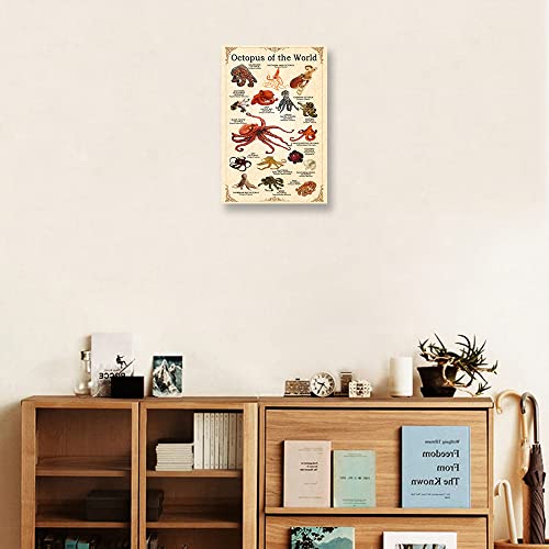 Vintage Octopus Wall Art Knowledge Poster Framed Wall Art Octopus Poster Educational Wall Art Painting Animal Canvas Pictures Prints Framed (12X18 Inch) #TOP1