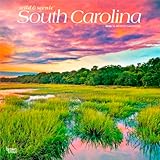 South Carolina Wild & Scenic | 2026 12 x 24 Inch (Hanging) Monthly Square Wall Calendar | Plastic-Free | BrownTrout | USA United States of America Southeast State Nature