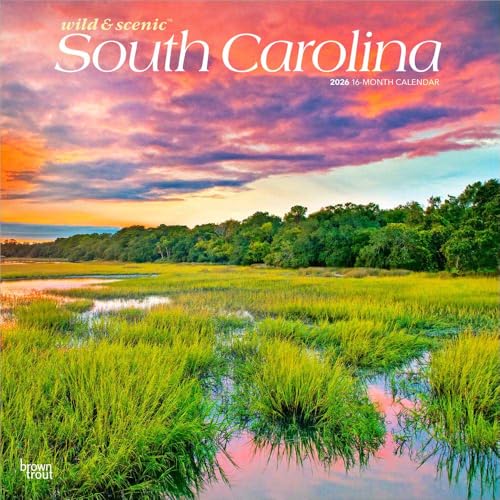 South Carolina Wild & Scenic | 2026 12 x 24 Inch (Hanging) Monthly Square Wall Calendar | Plastic-Free | BrownTrout | USA United States of America Southeast State Nature