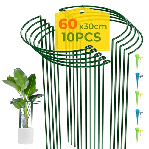 Image of LyTaispuly 10 Pack 60cm High Metal Garden Plant Support Stakes, Tall Large Heavy Duty Half Round Hydrangea Ring Cage, Bow Type Flower Hoops with 5 Watering Spikes for Indoor&Outdoor Peony Rose Tomato
