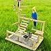 Sacolin Parrot Playstand, Climbing Ladder & Swing,14.6 X 10.2 X 17.3 in, Natural Wood