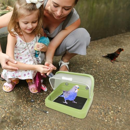 Incubadora de aves para criar pollitos en granjas domésticas 3