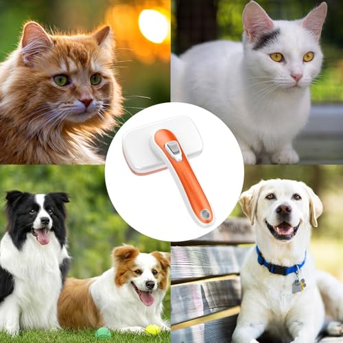 Escova impermeável para gatos, escova impermeável para gatos | Escova para gatinhos,Escova de limpez