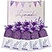 SCENTORINI 8 Sacchetti di Lavanda Sacchetti Profumati per Cassetti e Armadi