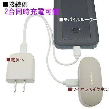 Amazon.co.jp: 充電専用 2台同時充電ケーブル Type-C - Type-C2