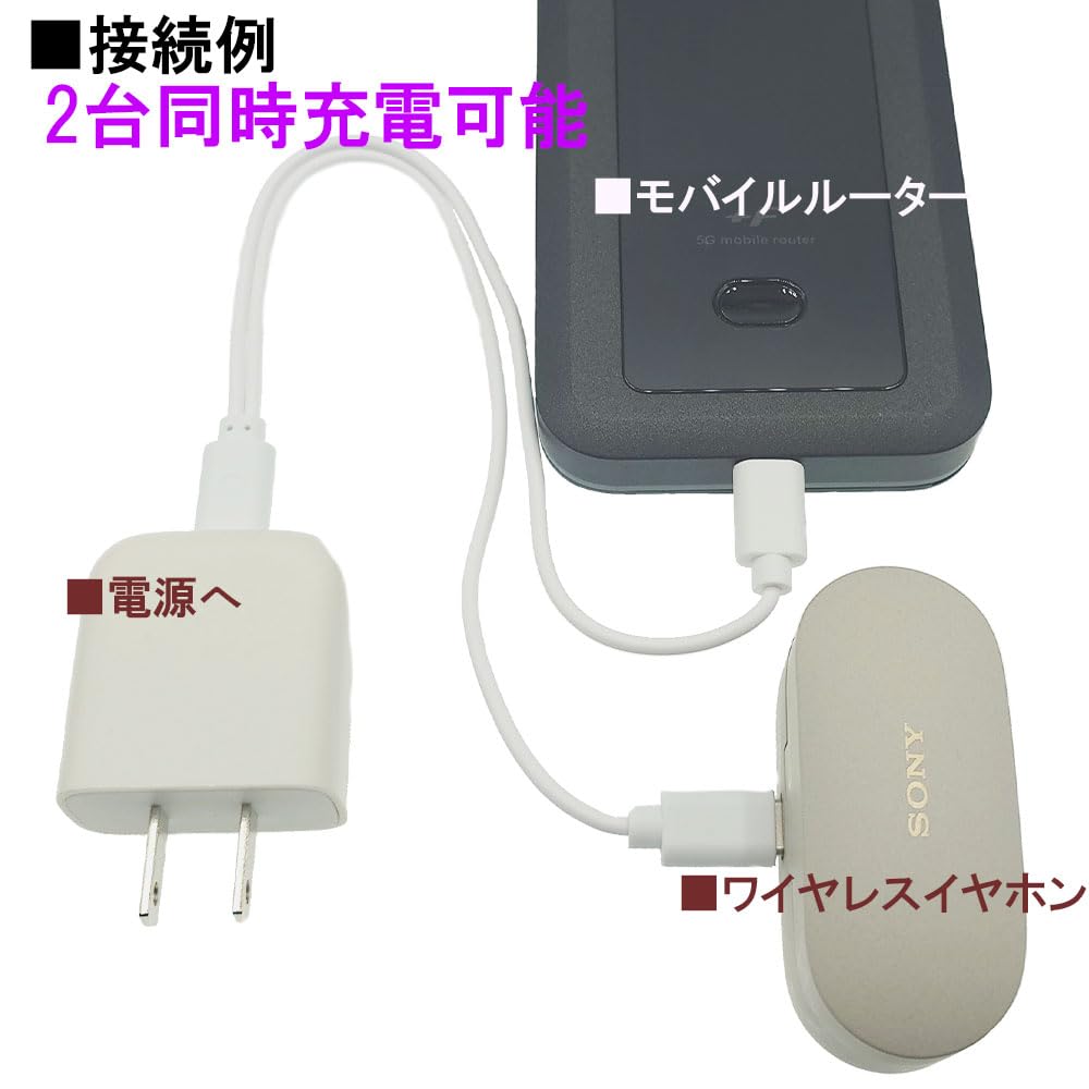 Amazon.co.jp: 充電専用 2台同時充電ケーブル Type-C - Type-C2股