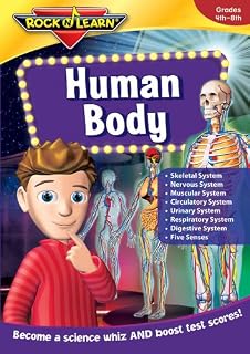 Human Body