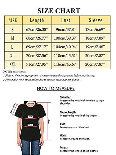 Camiseta LGBT Gay Pride Feminina Orgulho Arco-íris Camiseta Engraçada Lésbica Manga Curta Tops, Cinz