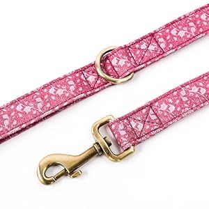 Organic Cotton Dog Leash for Small,Medium and Large Breed,Brass Hardware Pet Leash for Walking,Running and Training 6FT Organic Cotton Dog Leash for Small,Medium and Large Breed,Brass Hardware Pet Leash for Walking,Running and Training 6FT