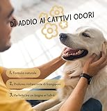 BELLY OUR MUTUAL FRIEND B08QSKXC3K lato 2