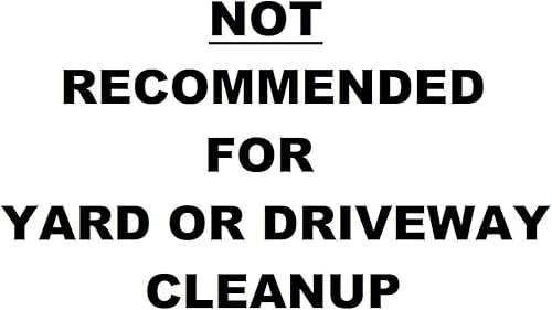 Miniatura 2 de Ryobi Kit de soplador de taller compacto inalámbrico ONE+ de 18 voltios con batería y cargador, (embalaje no minorista)