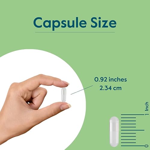 Miniatura 5 de BESTVITE Ácido pantoténico 500 mg (vitamina B5) (240 cápsulas vegetarianas), sin estearatos, sin gelatina, sin silicato de calcio, vegano, sin OMG,