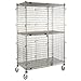 Security Units: Eagle (CSC2436) 38 Full Size Mobile Security Unit