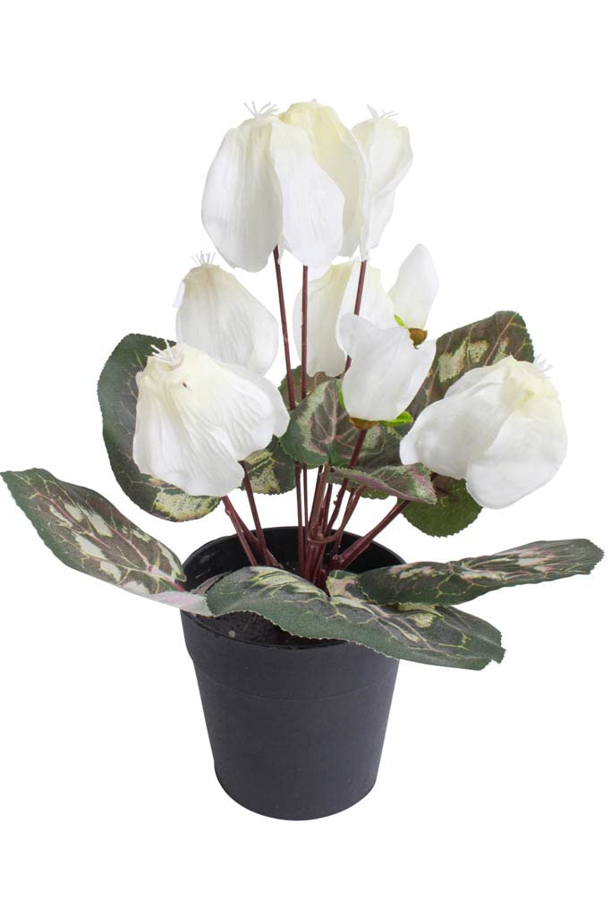 Botanic-Haus künstliches Alpenveilchen (Cyclamen) im schwarzen Kunststofftopf (Creme-weiß)