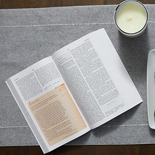 Catholic Women's Devotional Bible-NRSV: Featuring Daily Meditations by Women and a Reading Plan Tie