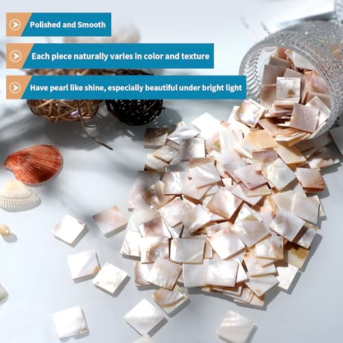Mosaico de nácar brillante con 350 teselas cuadradas de concha para manualidades en relieve 6
