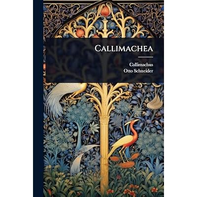 Callimachea