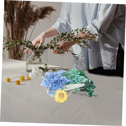 Kit de Flores Secas Naturales para Manualidades 1pack miniatura 3