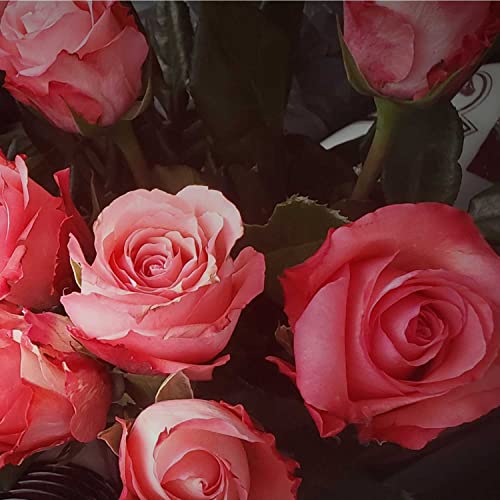 Letter to My Ex Boyfriend