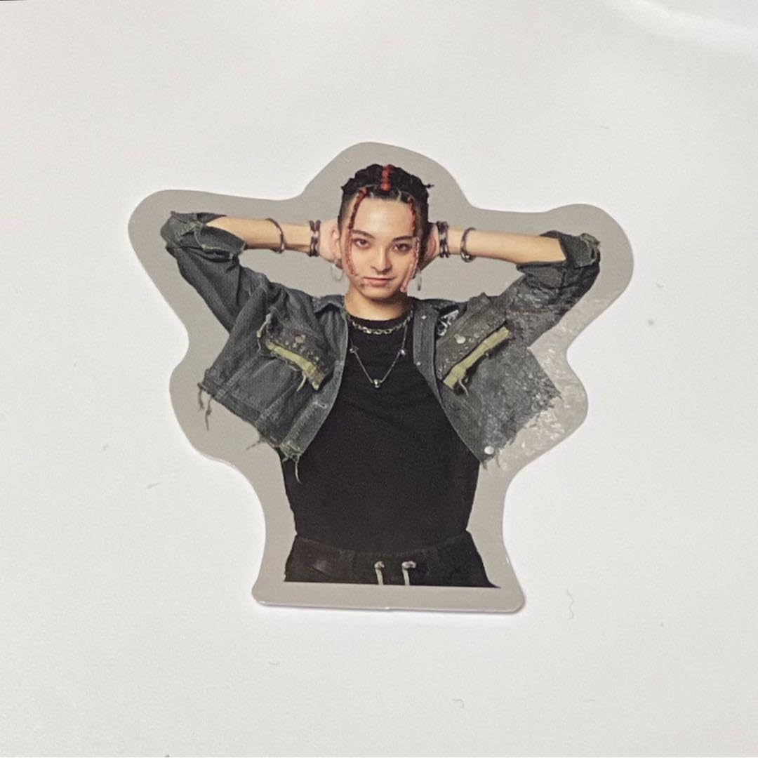 龍宮城 SYORYU ステッカー コンプセット 龍宮城 SYORYU ステッカー コンプセット 龍宮城 SYORYU ステッカー