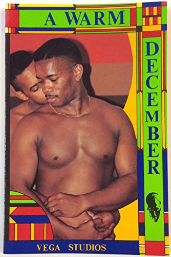A Warm December 1880729016 Book Cover