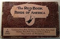 The Red Book of Birds of America B000KB990Q Book Cover