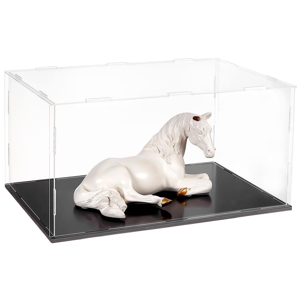 WADORN Clear Acrylic Display Case
