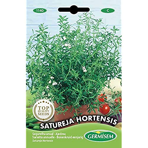 Germisem graines Sariette annuelle SATUREJA HORTENSIS