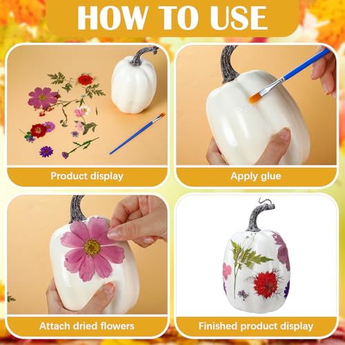 Kit de decoración otoño Halloween con 7 calabazas y 100 flores secas miniatura 4