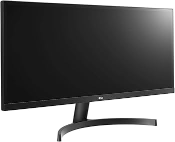 Monitor LG 29