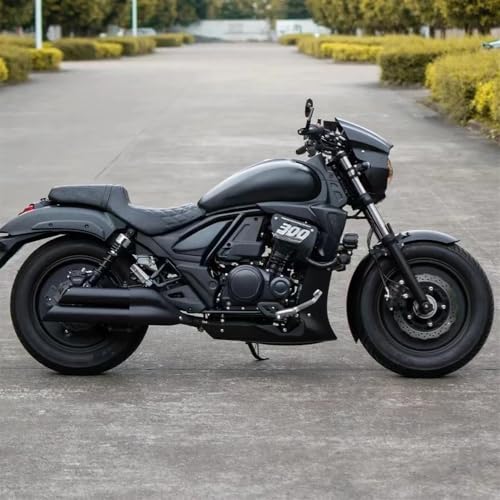 Extension ailes moto pour TR300 évite les projections sur cruiser - 3
