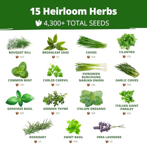 Image of HOME GROWN Herb Seeds for Planting 15-Pack Massive Seed Count 4,300+ Seeds Non-GMO Heirloom | Extra Large | Culinary Herb Kit, Indoor Outdoor & Hydroponic | Grow Your Own Herbs | Gardening Gift