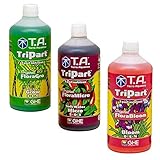 GHE Flora ist der Baustein für die Nährstoff-System Serie.