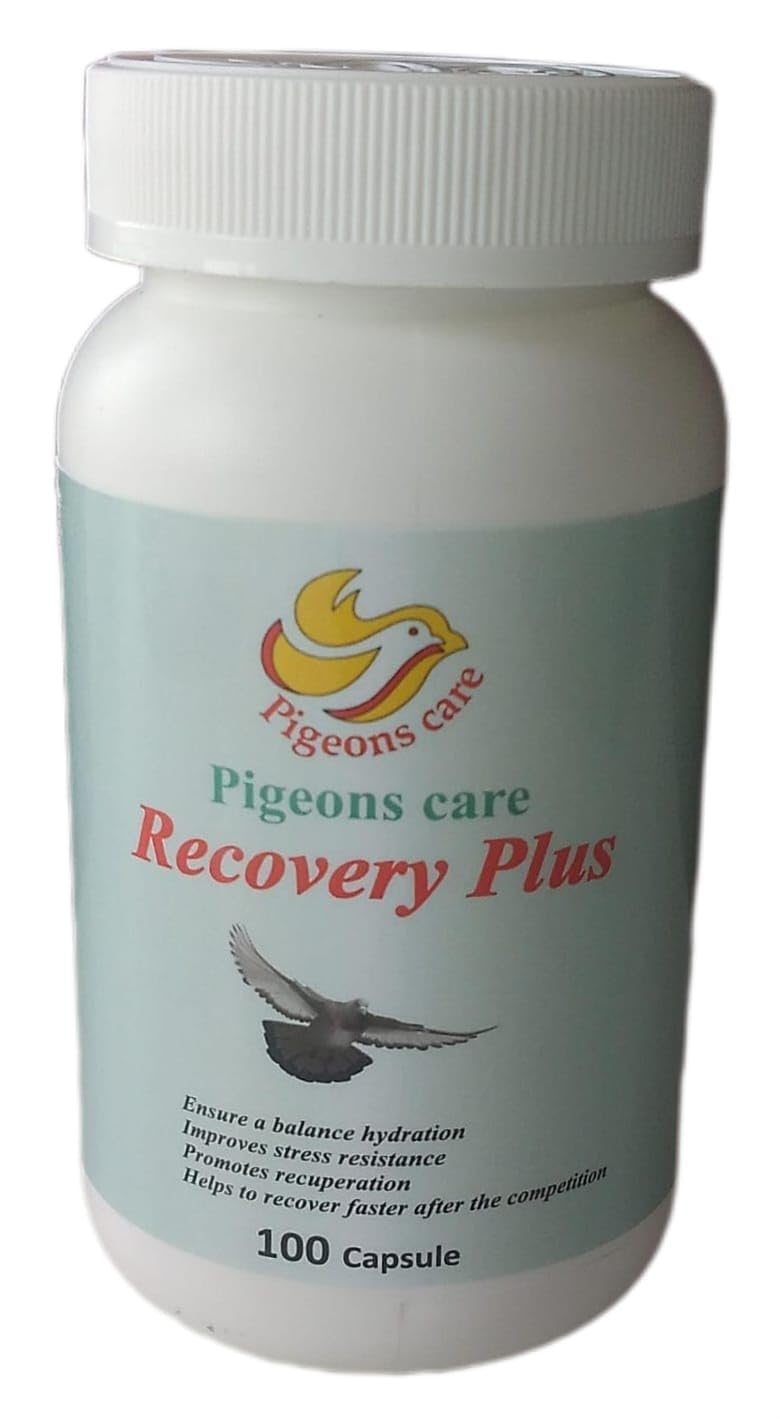 Pigeons Care Recovery Plus, 100 Capsules (B0DDPVYNLH) Amazon Price History, Amazon Price Tracker