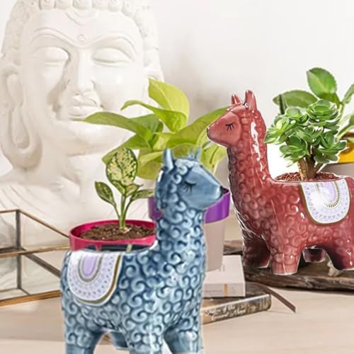 Lucky Alpaca Succulent Pots (Pack of 2) - Handmade Ceramic Plante...