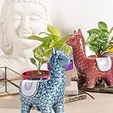 SPEALLOY Lucky Alpaca Succulent Pots (Pack of 2) - Handmade Ceramic Planters, Tabletop Decorations and Gifts for Plant Lovers