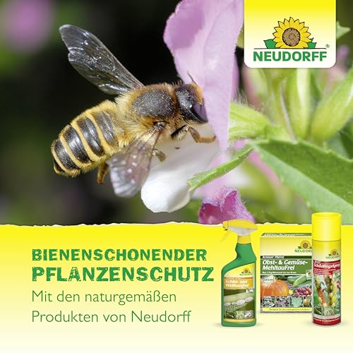Neudorff Neudosan Neu Blattlausfrei – Konzentrat bekämpft Blattläuse, Weiße Fliegen und Spinnmilben an Obst, Gemüse, Kräutern und Zierpflanzen, 500 ml