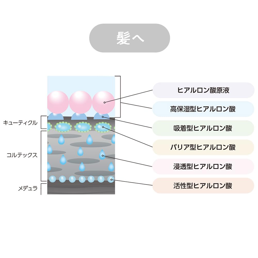 Amazon.co.jp: サロン ド ヒアロ モイスチャーセラム 50mL : ビューティー