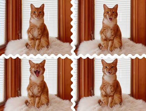 #43 - A Little Pep Talk About Rest