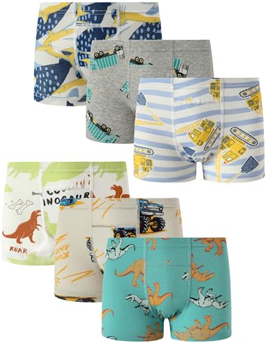Boboking Toddler Boys Trainer Dino Underwear Potty Boy Boxer Briefs 5T