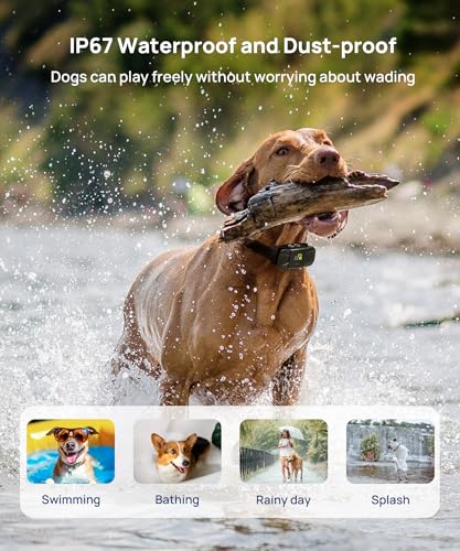 DOG CARE Dog Training Collar, Shock Collar with Beep, Vibration, Safe Static, Dog Training Collar with Remote 1800FT Waterproof Rechargeable E-Collar, Security Lock for All Dogs