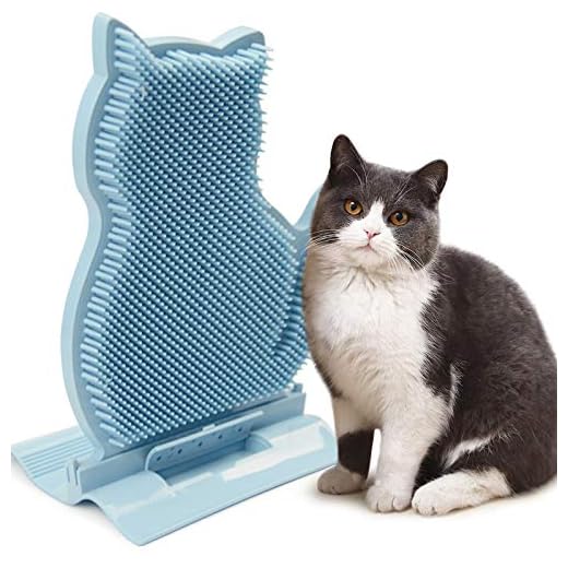 Idepet Katt massageborste, katt vägg dörr hörn monterad massage klåda verktyg, katt självskötare husdjur grooming kam borste leksak med kattmynta för kort och långt hår katt