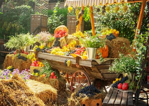 Toile de fond motif de fruits colorés 2.1x1.5m décor de scène marché rustique