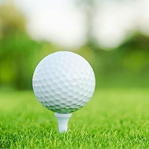 St  xȂ St{[ qEwStQ[ ct oVXeg[jO mߋ Ȋۋ Q[  K 1